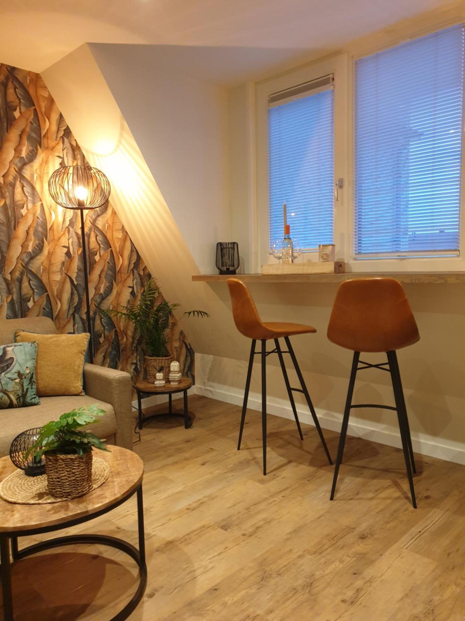 Suite De Brinkparel 德科赫 外观 照片